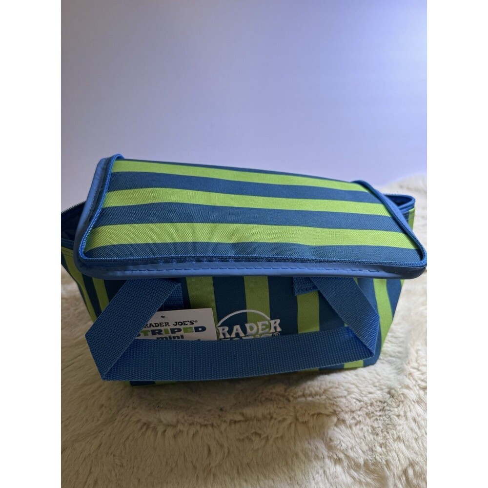 Trader Joe’s 2026 Mini Insulated Tote Blue Green Stripe Viral Summer